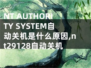 NT AUTHORITY SYSTEM自动关机是什么原因,nt29128自动关机