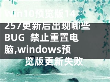 Win10预览版14257更新后出现哪些BUG  禁止重置电脑,windows预览版更新失败