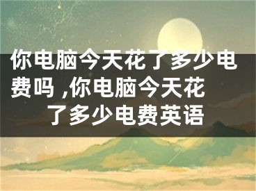 你电脑今天花了多少电费吗 ,你电脑今天花了多少电费英语