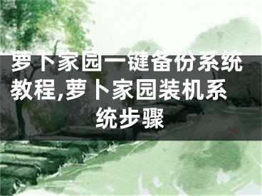 萝卜家园一键备份系统教程,萝卜家园装机系统步骤