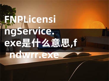 FNPLicensingService.exe是什么意思,fndwrr.exe