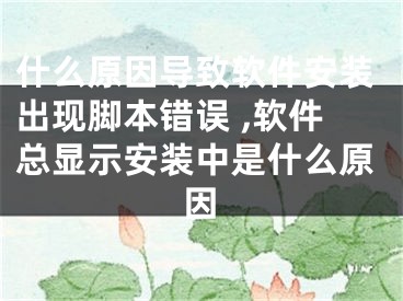 什么原因导致软件安装出现脚本错误 ,软件总显示安装中是什么原因