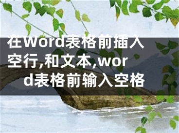 在Word表格前插入空行,和文本,word表格前输入空格