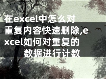 在excel中怎么对重复内容快速删除,excel如何对重复的数据进行计数