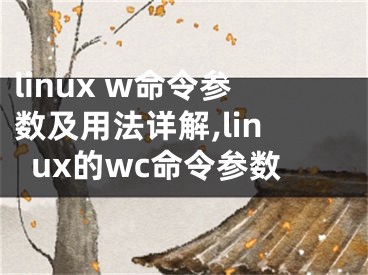 linux w命令参数及用法详解,linux的wc命令参数