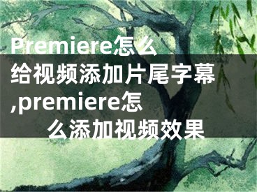 Premiere怎么给视频添加片尾字幕 ,premiere怎么添加视频效果