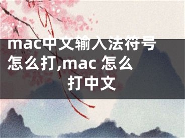 mac中文输入法符号怎么打,mac 怎么打中文