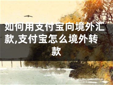 如何用支付宝向境外汇款,支付宝怎么境外转款