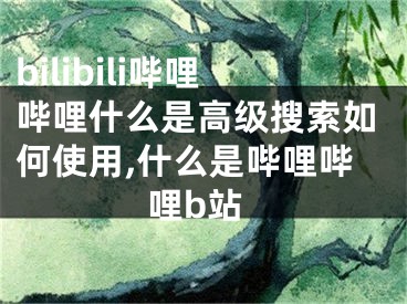 bilibili哔哩哔哩什么是高级搜索如何使用,什么是哔哩哔哩b站