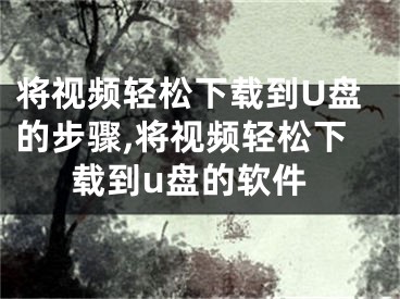 将视频轻松下载到U盘的步骤,将视频轻松下载到u盘的软件