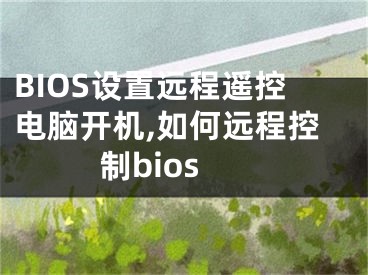 BIOS设置远程遥控电脑开机,如何远程控制bios