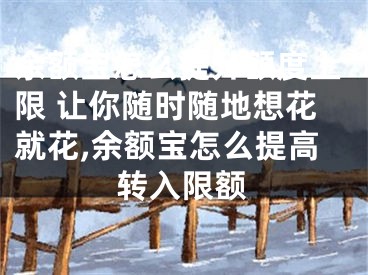 余额宝怎么提升额度上限 让你随时随地想花就花,余额宝怎么提高转入限额