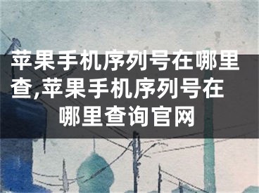 苹果手机序列号在哪里查,苹果手机序列号在哪里查询官网