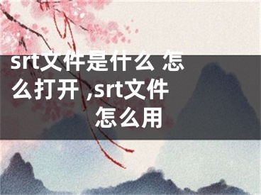 srt文件是什么 怎么打开 ,srt文件怎么用