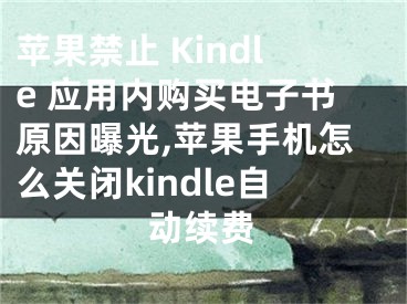 苹果禁止 Kindle 应用内购买电子书原因曝光,苹果手机怎么关闭kindle自动续费