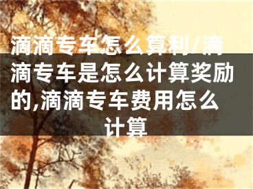 滴滴专车怎么算利/滴滴专车是怎么计算奖励的,滴滴专车费用怎么计算