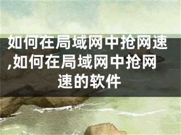 如何在局域网中抢网速,如何在局域网中抢网速的软件