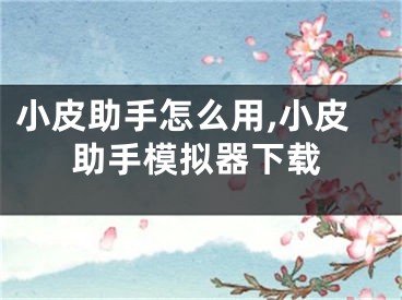 小皮助手怎么用,小皮助手模拟器下载