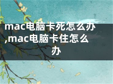 mac电脑卡死怎么办,mac电脑卡住怎么办
