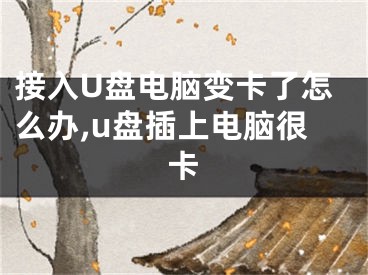 接入U盘电脑变卡了怎么办,u盘插上电脑很卡