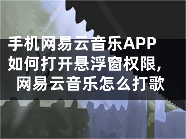 手机网易云音乐APP如何打开悬浮窗权限,网易云音乐怎么打歌