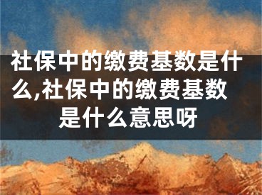 社保中的缴费基数是什么,社保中的缴费基数是什么意思呀
