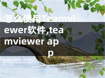 怎么使用Teamviewer软件,teamviewer app