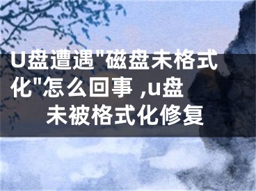 U盘遭遇"磁盘未格式化"怎么回事 ,u盘未被格式化修复
