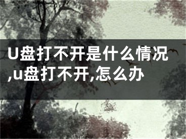U盘打不开是什么情况,u盘打不开,怎么办
