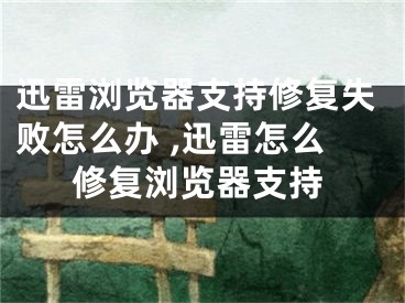 迅雷浏览器支持修复失败怎么办 ,迅雷怎么修复浏览器支持