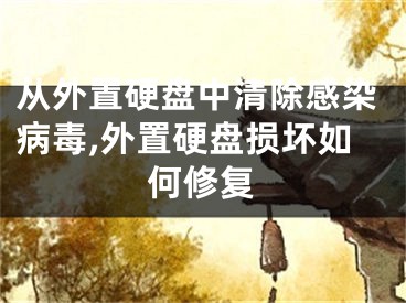 从外置硬盘中清除感染病毒,外置硬盘损坏如何修复