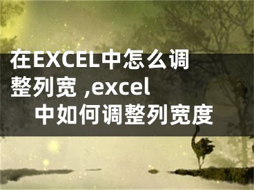 在EXCEL中怎么调整列宽 ,excel中如何调整列宽度