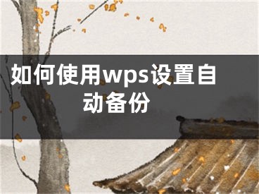 如何使用wps设置自动备份 