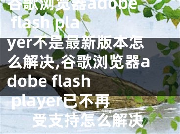 谷歌浏览器adobe flash player不是最新版本怎么解决,谷歌浏览器adobe flash player已不再受支持怎么解决