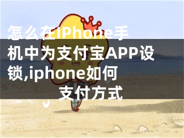 怎么在IPhone手机中为支付宝APP设锁,iphone如何支付方式
