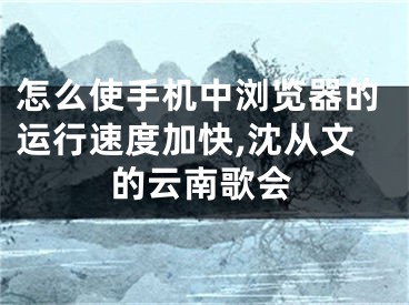 怎么使手机中浏览器的运行速度加快,沈从文的云南歌会