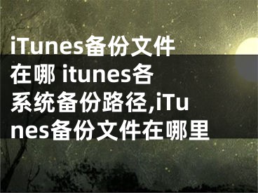 iTunes备份文件在哪 itunes各系统备份路径,iTunes备份文件在哪里