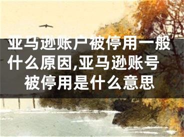 亚马逊账户被停用一般什么原因,亚马逊账号被停用是什么意思