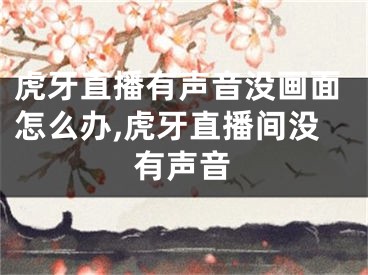 虎牙直播有声音没画面怎么办,虎牙直播间没有声音