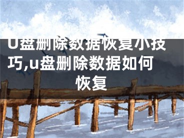 U盘删除数据恢复小技巧,u盘删除数据如何恢复