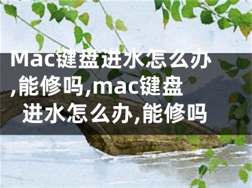 Mac键盘进水怎么办,能修吗,mac键盘进水怎么办,能修吗