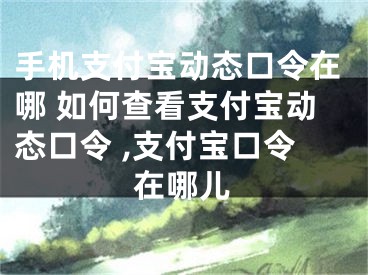 手机支付宝动态口令在哪 如何查看支付宝动态口令 ,支付宝口令在哪儿