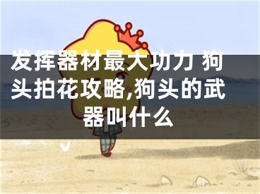 发挥器材最大功力 狗头拍花攻略,狗头的武器叫什么