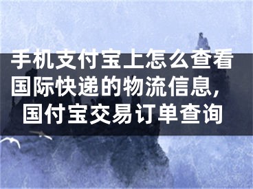 手机支付宝上怎么查看国际快递的物流信息,国付宝交易订单查询