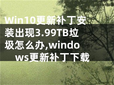 Win10更新补丁安装出现3.99TB垃圾怎么办,windows更新补丁下载