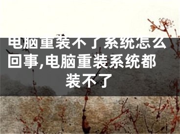 电脑重装不了系统怎么回事,电脑重装系统都装不了