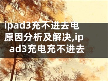 ipad3充不进去电原因分析及解决,ipad3充电充不进去