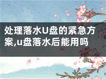 处理落水U盘的紧急方案,u盘落水后能用吗