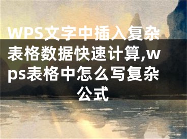 WPS文字中插入复杂表格数据快速计算,wps表格中怎么写复杂公式