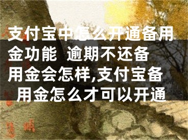 支付宝中怎么开通备用金功能  逾期不还备用金会怎样,支付宝备用金怎么才可以开通